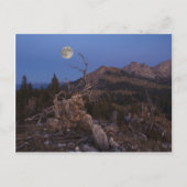 Stress van de nacht briefkaart (Voorkant)