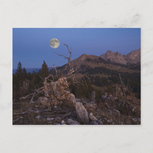 Stress van de nacht briefkaart (Voorkant)