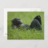 Stressverlichting Briefkaart (Voorkant / Achterkant)