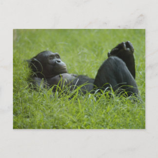 Stressverlichting Briefkaart