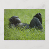 Stressverlichting Briefkaart (Voorkant)