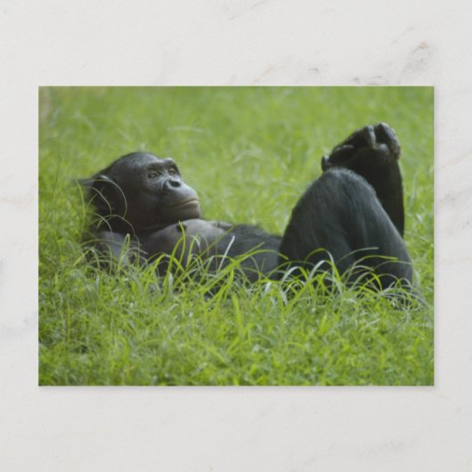 Stressverlichting Briefkaart (Voorkant)