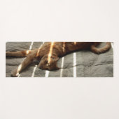 Stretch Cat Double Sided Yoga Mat (Voorkant (horizontaal))