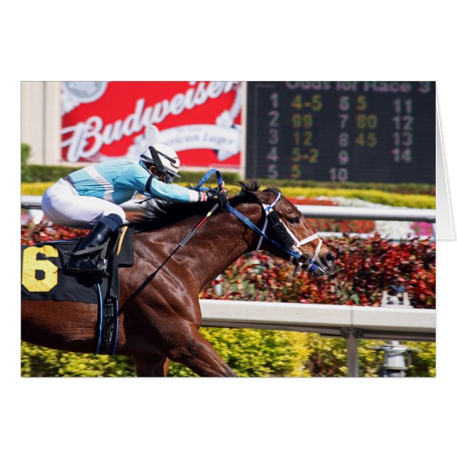 Stretch Drive (Voorkant Horizontaal)