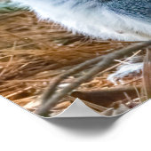 Stretch  poster (Hoek)