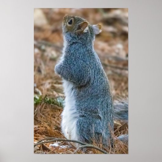 Stretch  poster (Voorkant)