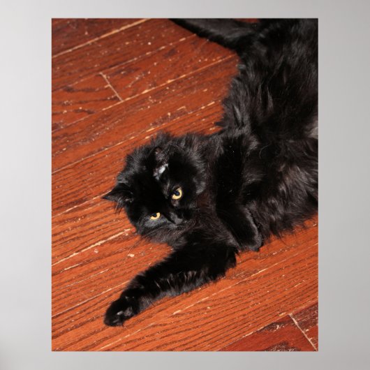 Stretch Poster (Voorkant)
