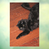 Stretch Raamsticker (Vel 3)