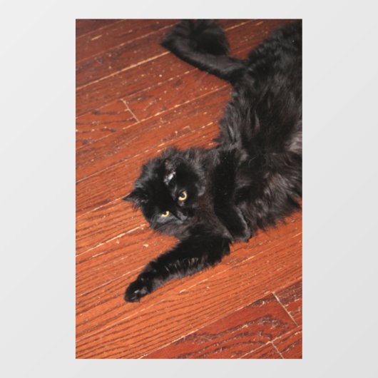 Stretch Raamsticker (Vel)