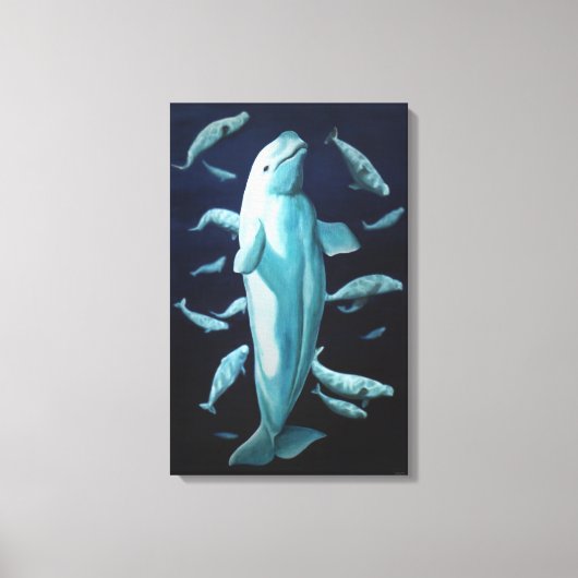 Stretched Canvas Beluga Whales Art Print (Voorkant)