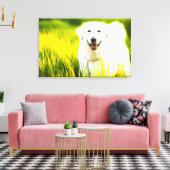 Stretched Canvas Print. De vrolijke witte hond in  Afdruk (Insitu (Woonkamer))