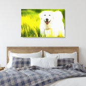 Stretched Canvas Print. De vrolijke witte hond in  Afdruk (Insitu (Slaapkamer))