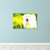 Stretched Canvas Print. De vrolijke witte hond in  Afdruk (Insitu (Houten vloer))