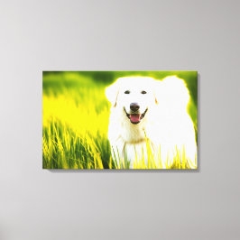 Stretched Canvas Print. De vrolijke witte hond in  Afdruk