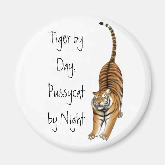 Stretching Bengal Tijger Magnet (Voorkant)