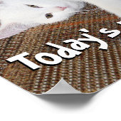 Stretching Cat - Poster (Hoek)