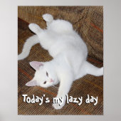 Stretching Cat - Poster (Voorkant)