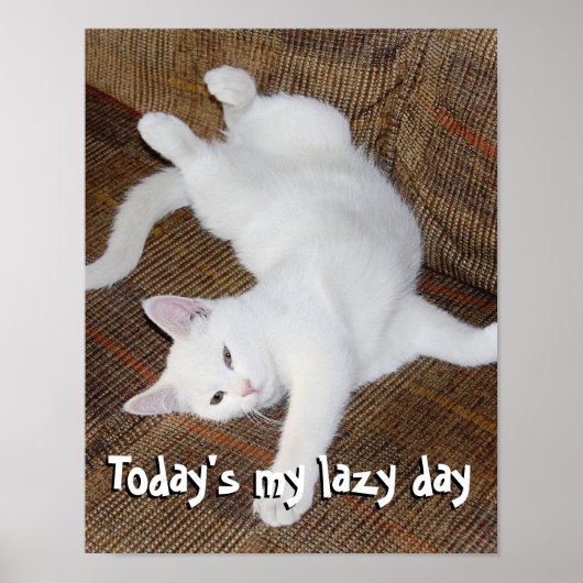 Stretching Cat - Poster (Voorkant)