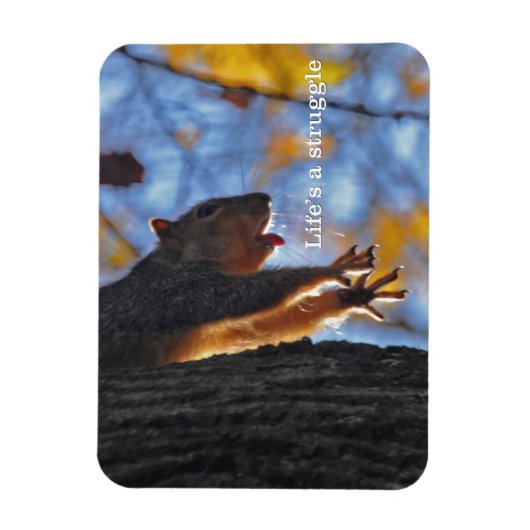 Stretching Eekhoorn 2 Magneet (Verticaal)