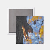 Stretching Eekhoorn 2 Magneet (Voorkant / Achterkant)