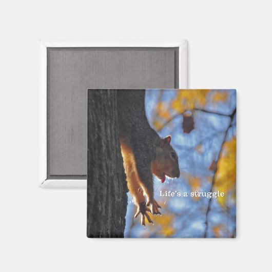 Stretching Eekhoorn 2 Magneet (Voorkant / Achterkant)