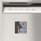 Stretching Eekhoorn 2 Magneet (Insitu (Vaatwasser))