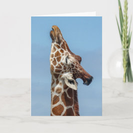 Stretching Giraffe Card Kaart
