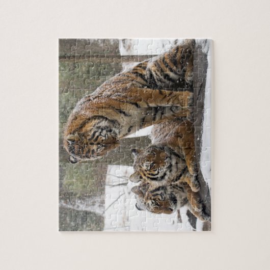 Stretching Tiger Legpuzzel (Verticaal)