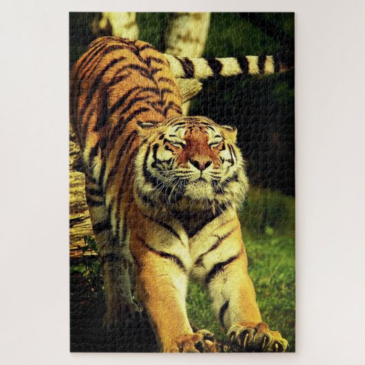 Stretching Tiger Legpuzzel (Verticaal)
