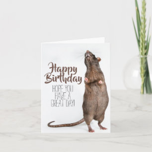 Stretchy Rat Birthday Card Kaart