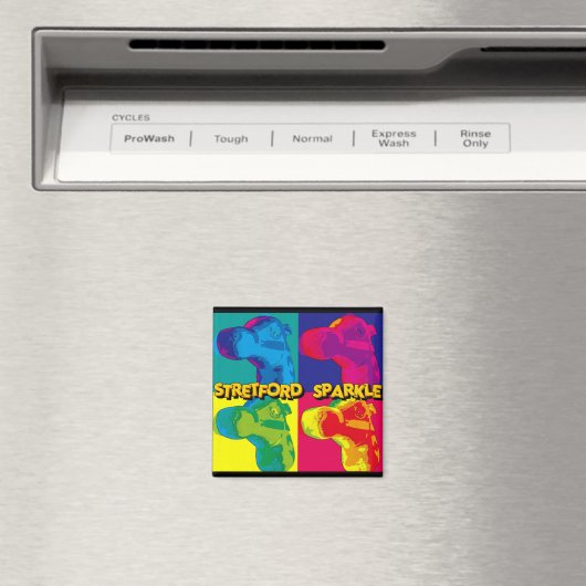 STRETFORD SPARKLE - KOELKASTMAGNEET MAGNEET (Insitu (Vaatwasser))