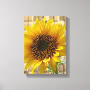 Strette Canvas Print Moederdag Sunflower