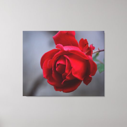 Stretted Wall Canvas (Voorkant)