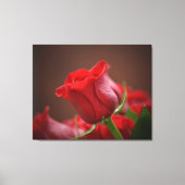 Stretted Wall Canvas (Voorkant)