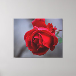 Stretted Wall Canvas Afdruk