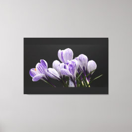 Stretted Wall Canvas Afdruk