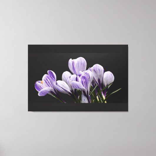 Stretted Wall Canvas Afdruk (Voorkant)