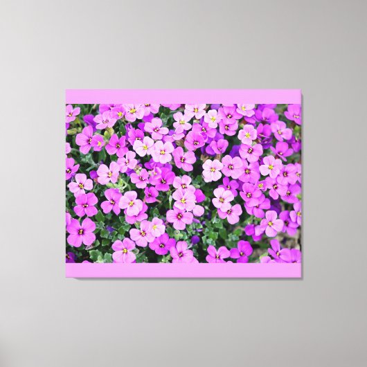 Stretted Wall Canvas Afdruk (Voorkant)