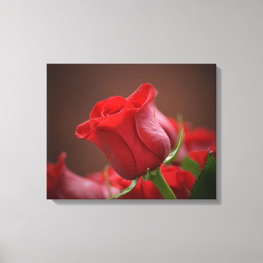 Stretted Wall Canvas Afdruk (Voorkant)