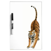 Stretting Bengal Tiger Dry Erase Board