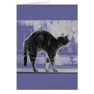 Stretting Indigo Pencil