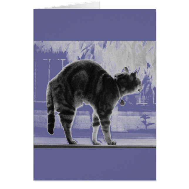 Stretting Indigo Pencil (Voorkant)