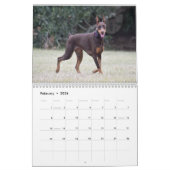 Strictly Dobermans Calendar 2026 Kalender (Feb 2026)
