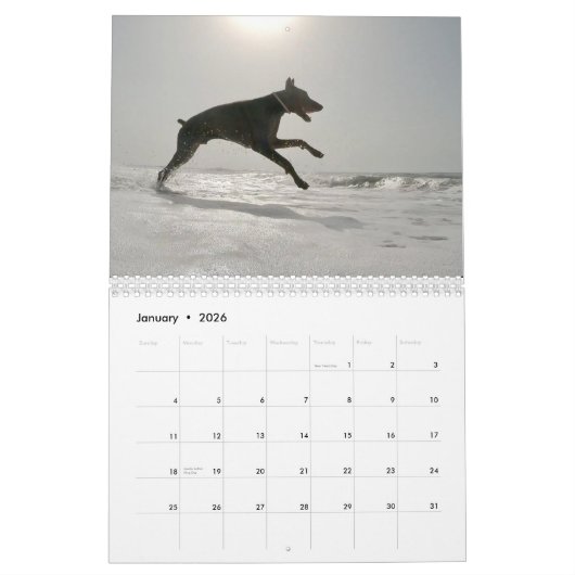 Strictly Dobermans Calendar 2026 Kalender (Jan 2026)