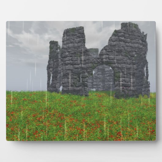 Strife foto Plaque vergeten Fotoplaat (Voorkant)