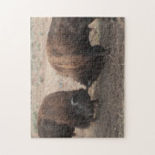 Strijd tegen Amerikaanse gierstieren Wildlife Puzz Legpuzzel (Verticaal)