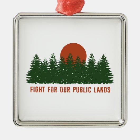 Strijd tegen onze publieke zanden metalen ornament (Voorkant)