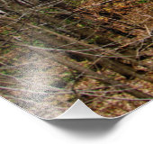 "Strijd tegen tuberculose met vuur" Foto Afdruk (Hoek)