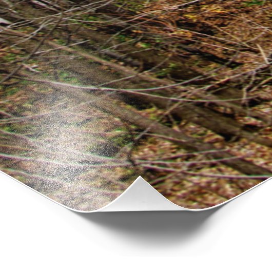 "Strijd tegen tuberculose met vuur" Foto Afdruk (Hoek)