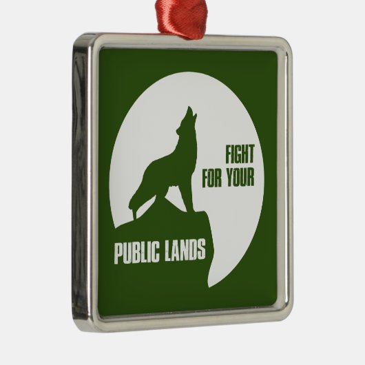 Strijd tegen uw publieke zolderwereld metalen ornament (Rechts)